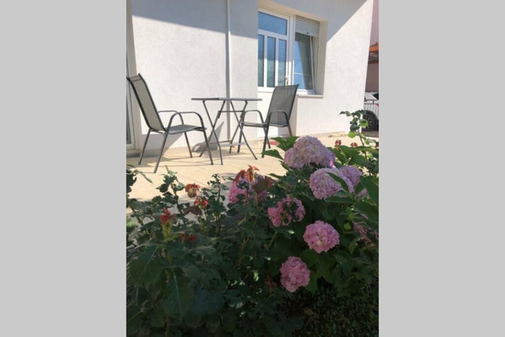 Marin Appartement Zadar Buitenkant foto